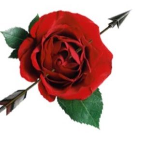 Meet your Posher, Adamarie